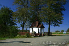 Zdjęcie: Widok na kaplicę między drzewami od strony ulicy.
