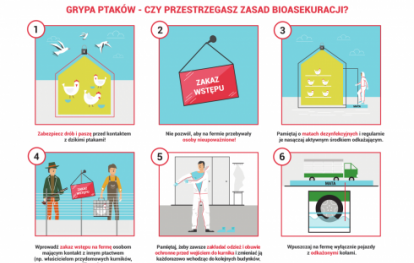 Ulotka informacyjna Krajowej Rady Drobiarstwa dotycząca zasad bioasekuracji w gospodarstwach utrzymujących drób Ulotka informacyjna Krajowej Rady Drobiarstwa dotycząca zasad bioasekuracji w gospodarstwach utrzymujących drób