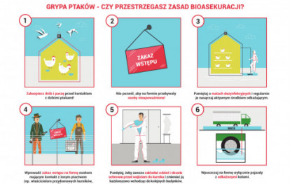 Ulotka informacyjna dotycząca zasad bioasekuracji w gospodarstwach utrzymujących drób